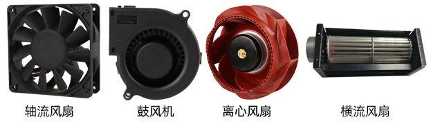 四種分類(lèi)1.jpg